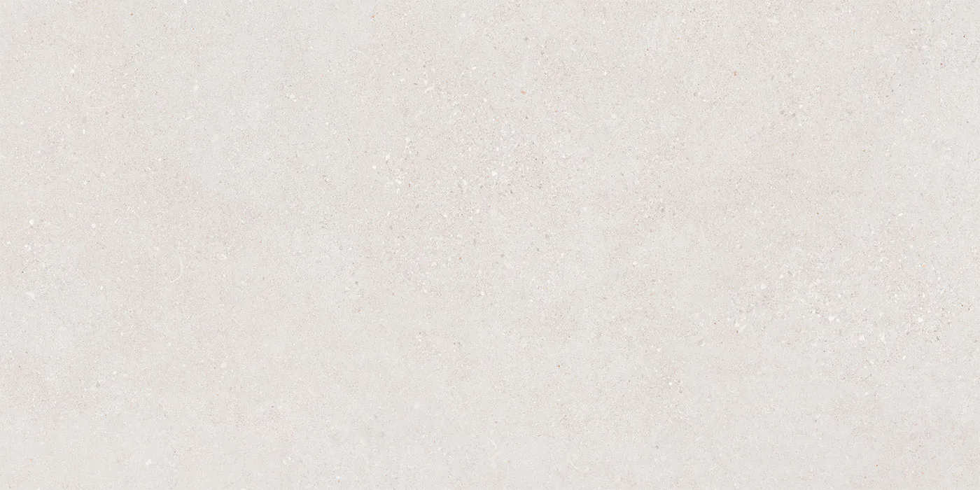0600X1200 ROLLER STONE-AÇIK GRİ FON MAT — 3