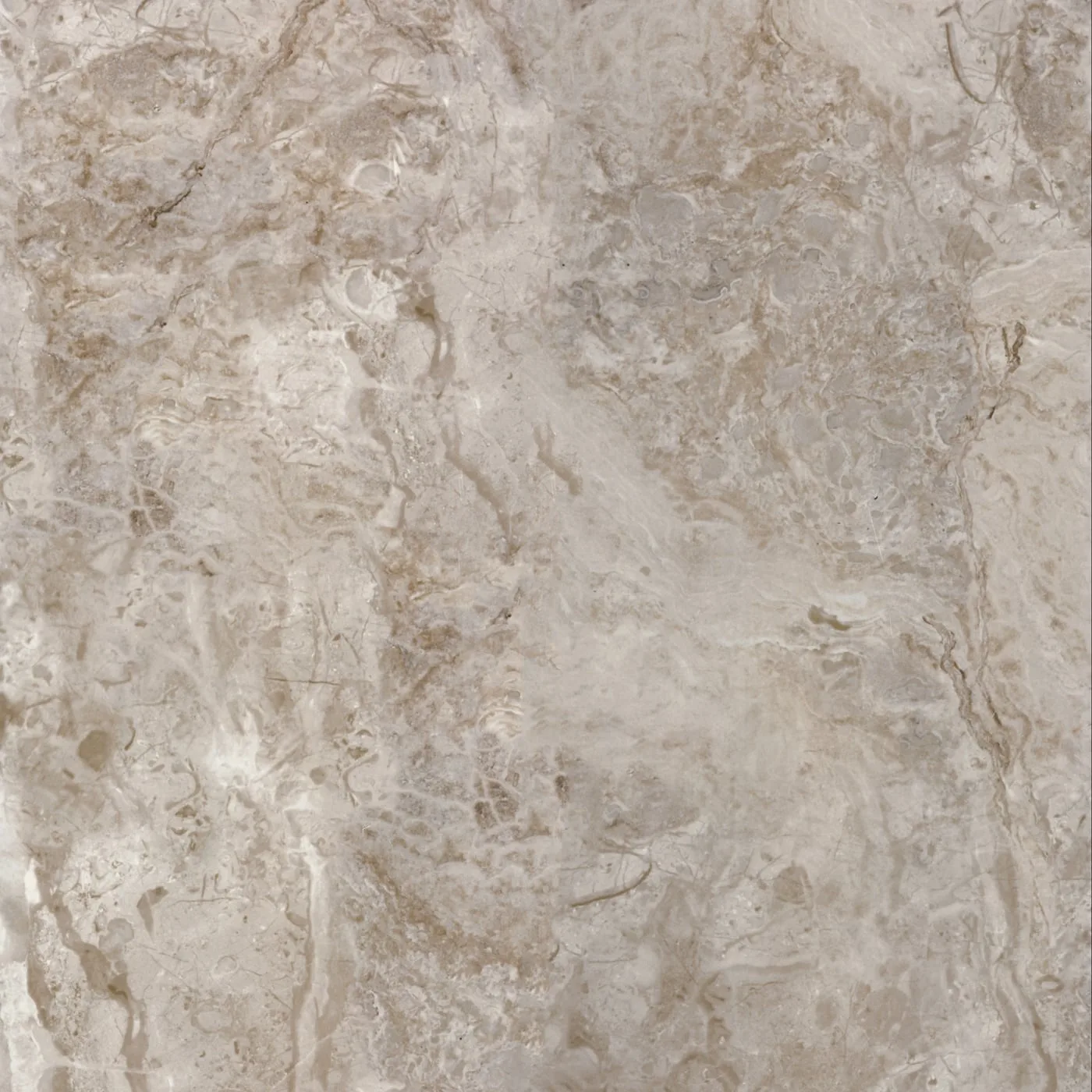 60X60 BELEKOMA-VIZON FON PARLAK — 2