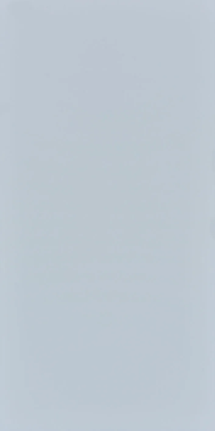 60X120 Style Pastel Açık Mavi Fon Mat — 2