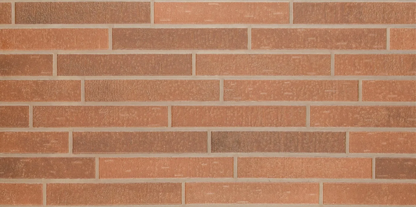 60X120 STONE BRICK-COTTO FON MAT — 3