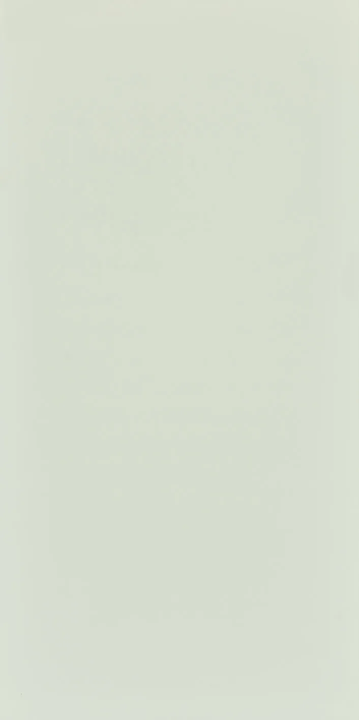 60X120 Style Pastel Açık Yeşil Fon Mat — 2