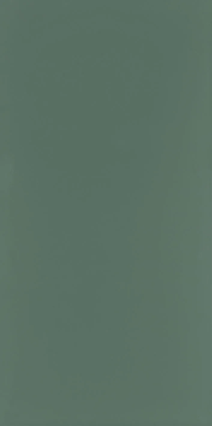 60X120 Style Pastel Koyu Yeşil Fon Mat — 2