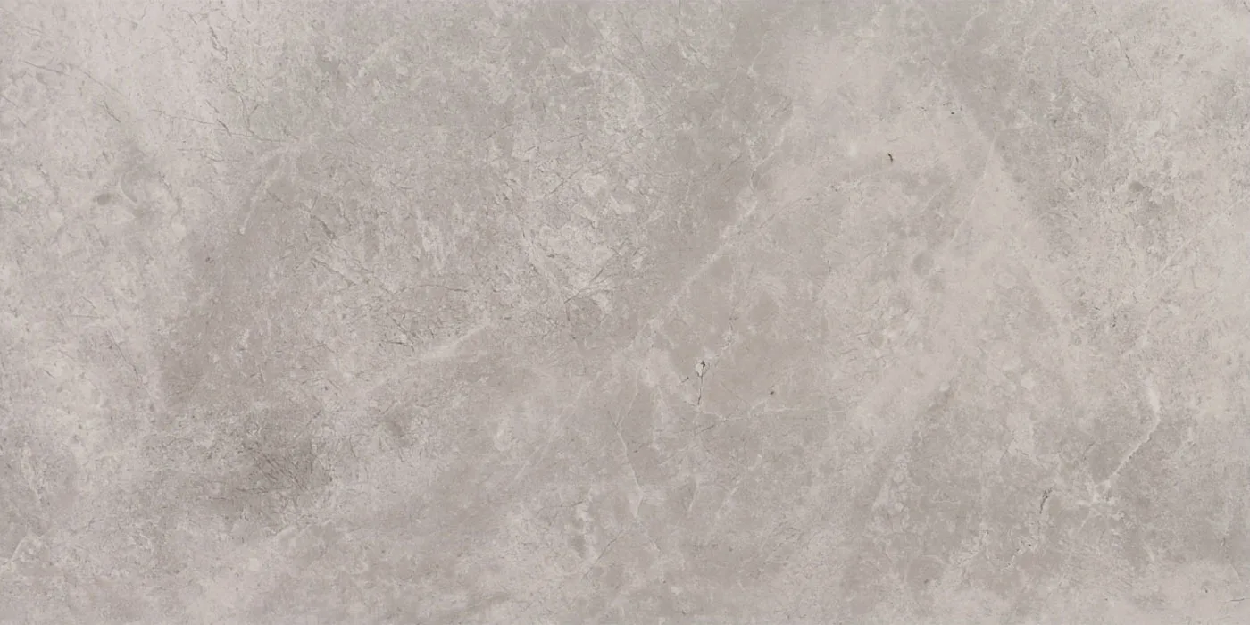 0300X0600 ROME PULPIS-GRI FON PARLAK — 3