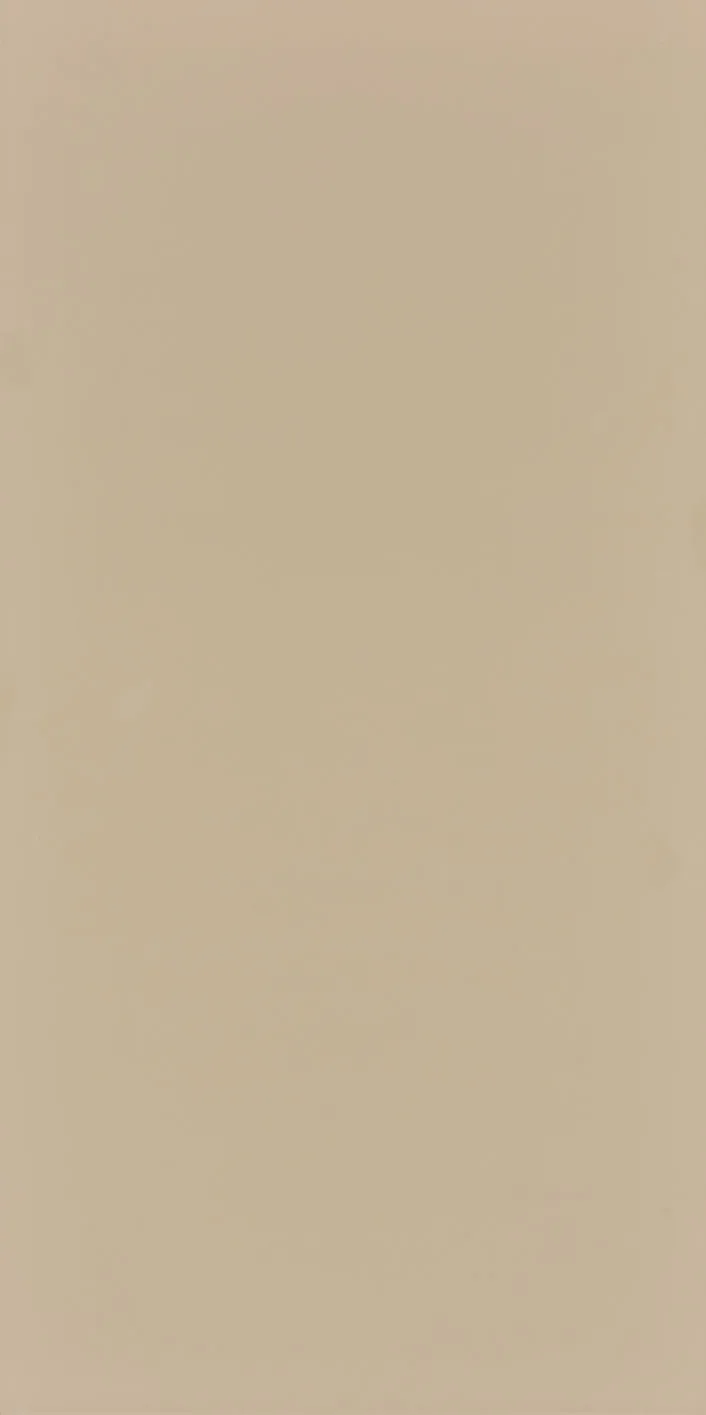 60X120 Style Pastel Earth Fon Mat — 2