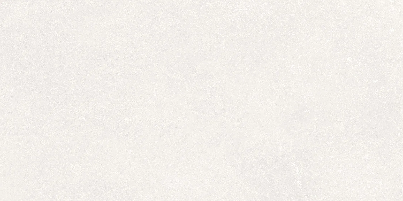 0600X1200 RENATO-BIANCO FON MAT — 3