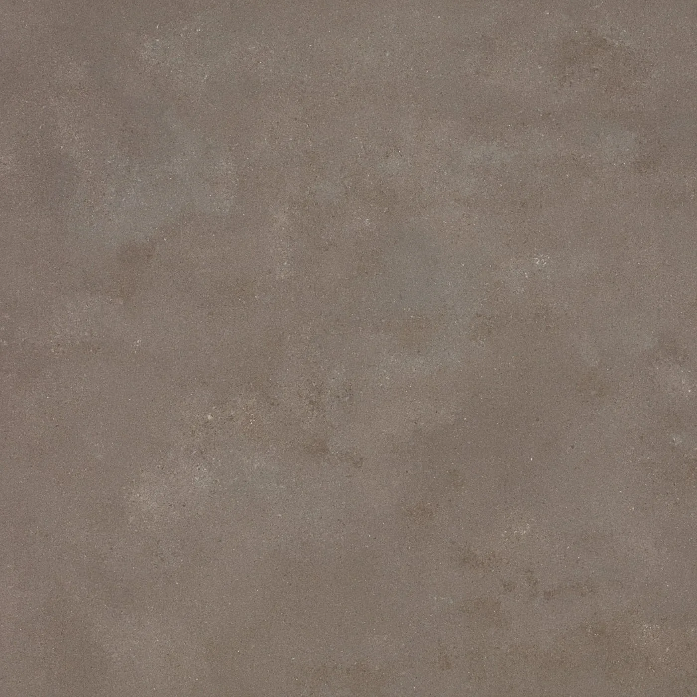 90X90  COSMOS-VIZON FON PARLAK — 2