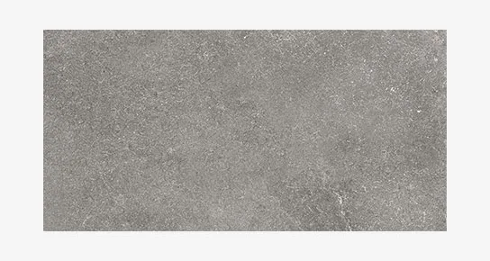 0600X1200 RENATO-GRAFİT FON MAT