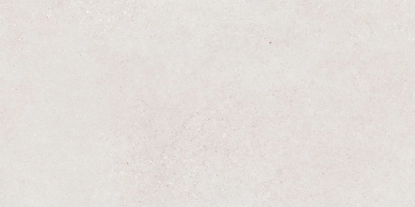 0600X1200 ROLLER STONE-AÇIK GRİ FON MAT — 4