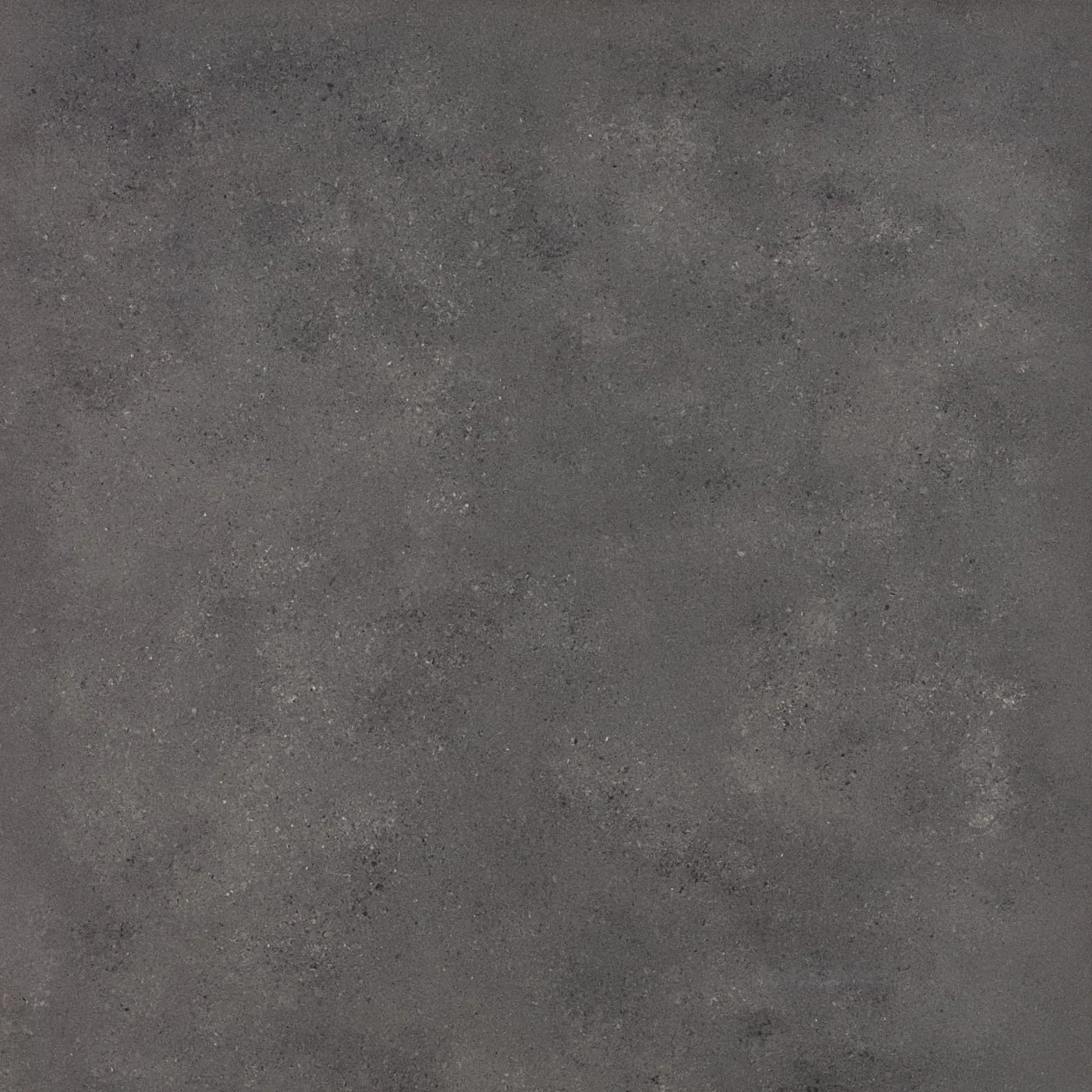 90X90  COSMOS-KOYU GRI FON PARLAK — 2