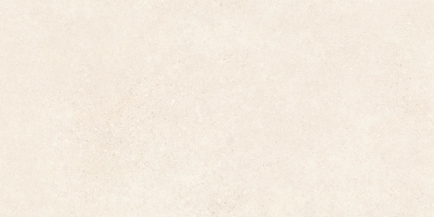0600X1200 ROLLER STONE-BIANCO FON MAT — 4
