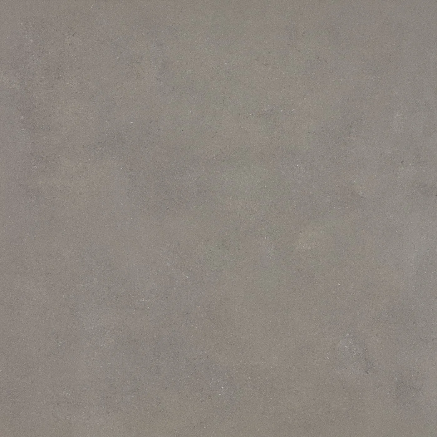 90X90  COSMOS-GRI FON PARLAK — 4