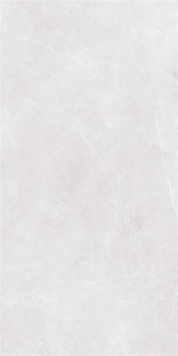 60x120 STERLINA Silver Mat Rektifiyeli