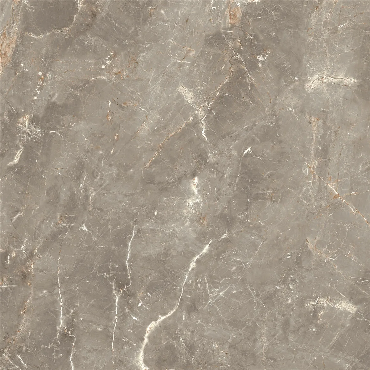 80x80 Evalon Taupe Polish Rektifiyeli