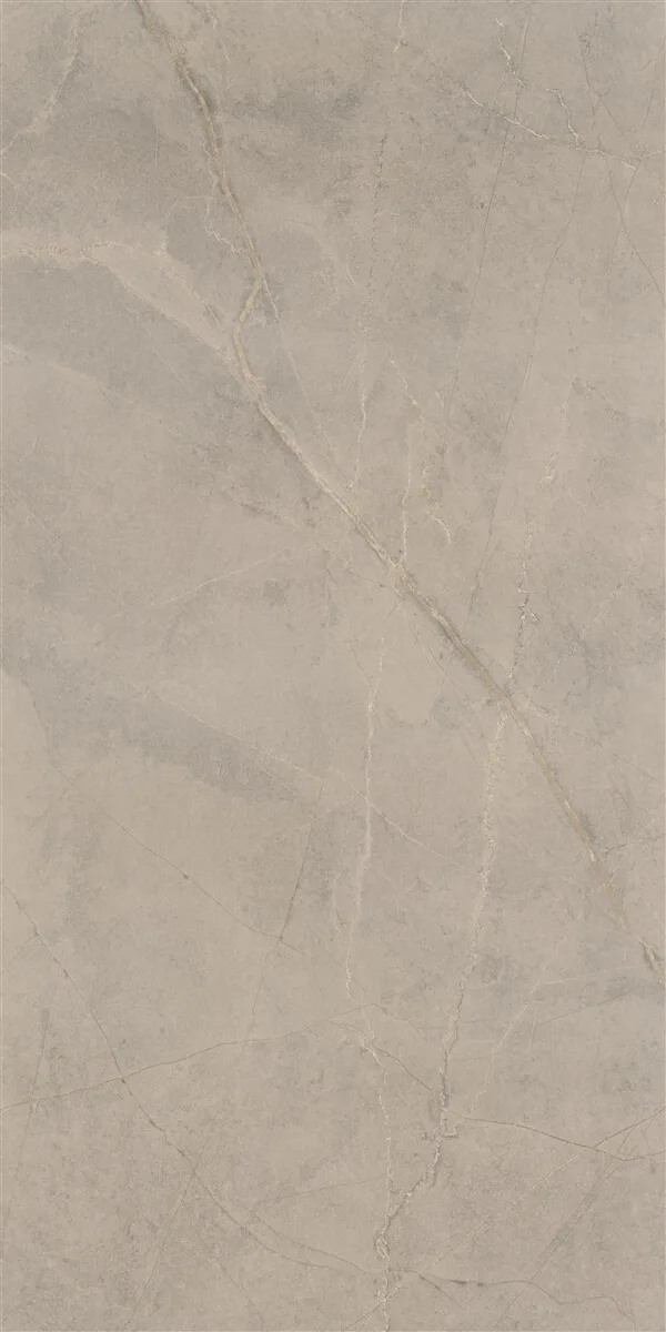 60x120 Everest Taupe Polish Rektifiyeli