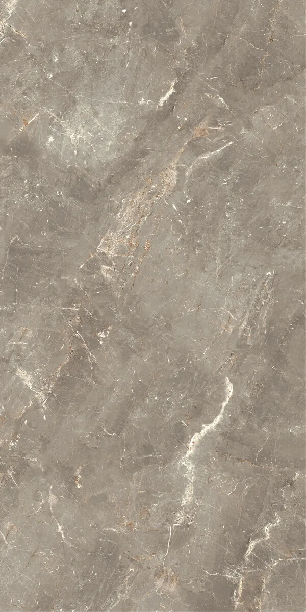 60x120 Evalon Taupe Polish Rektifiyeli