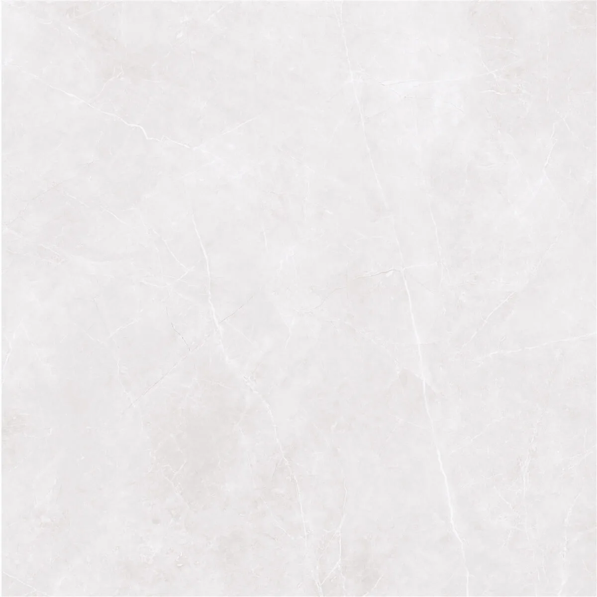 80x80 STERLINA Silver Lappato