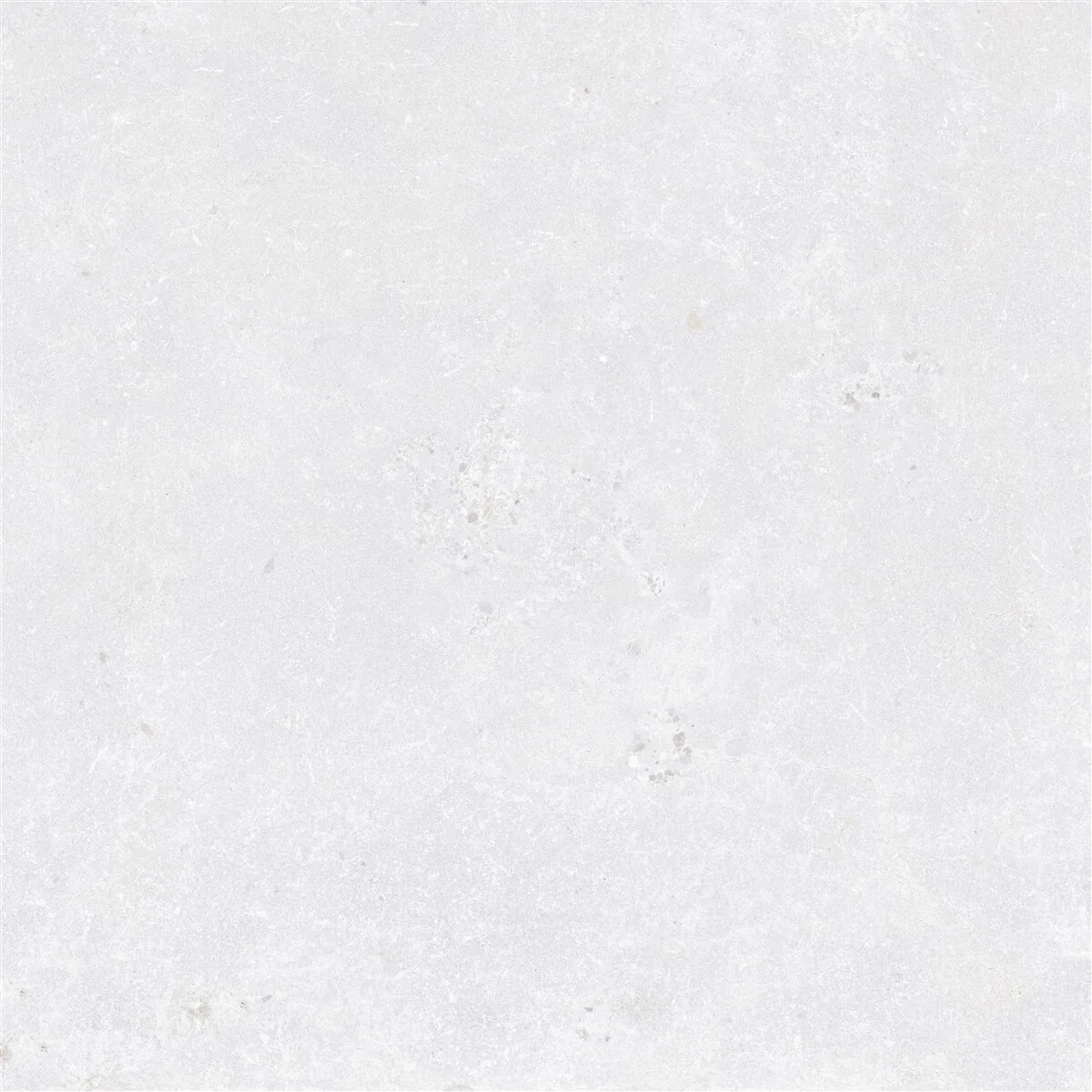 60x60 Walk Bianco Mat